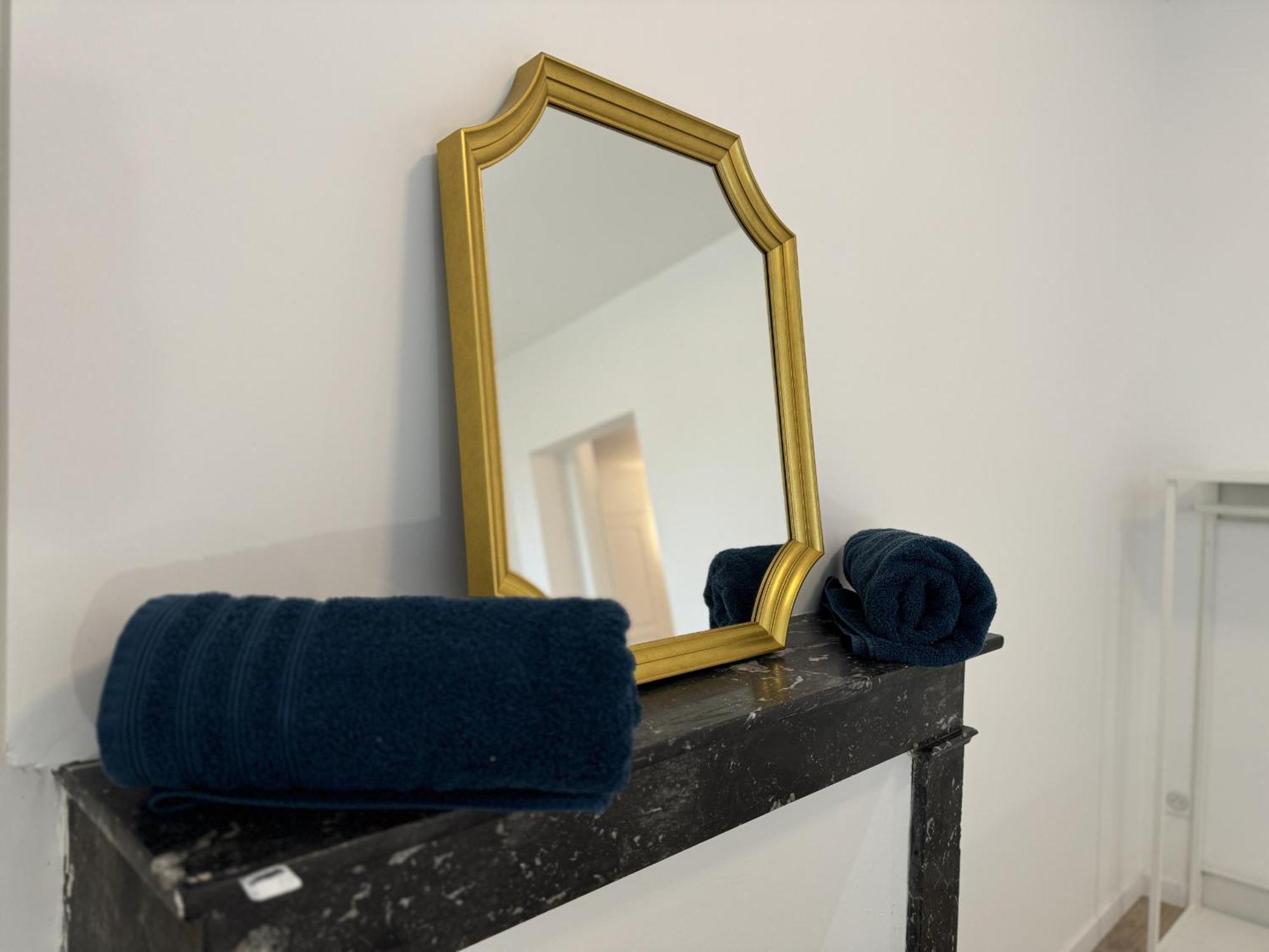 Appartement Les Lys Bleus - 4Pers - Reve Au Mans à Le Mans Extérieur photo